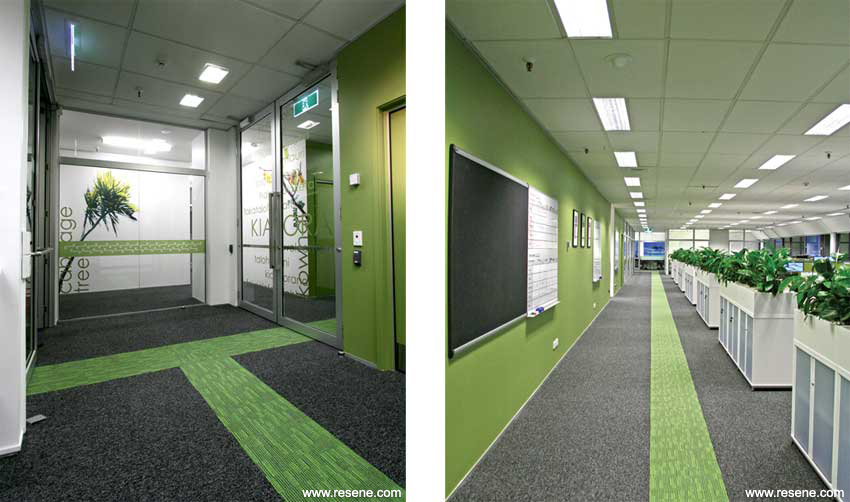 Resene Total Colour Commercial Interior Maestro Award for the Hynds Group Headquarters renovation