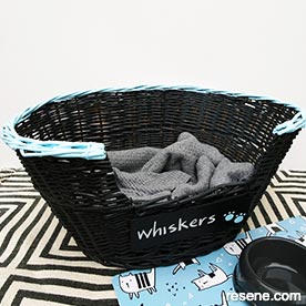 Create a pet basket