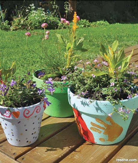 Decorate painted terracotta pots and plant flowers
