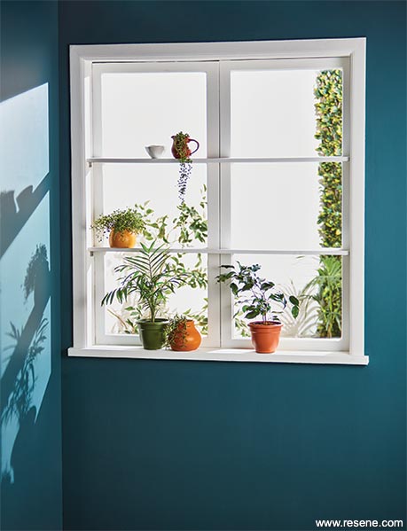Build window shelves for your indoor plants