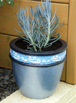 Paint a terracotta succulent pot