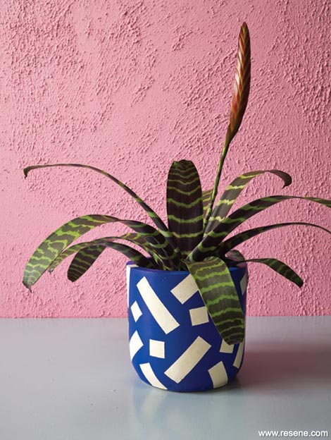 Paint a tropical planter