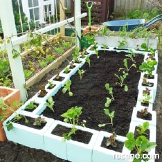 Make a concrete block garden bed