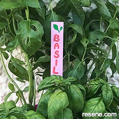 How to make a plant label
