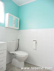 Project to try - Bathroom revamp