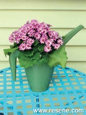Transform a watering jug to a planter