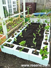 Make a block raised garden bed