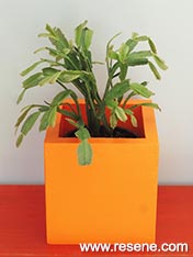 Paint a bright pot plant