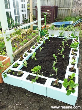 Block raised garden bed

