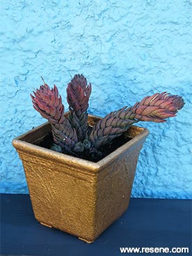 Paint an metallic planter pot