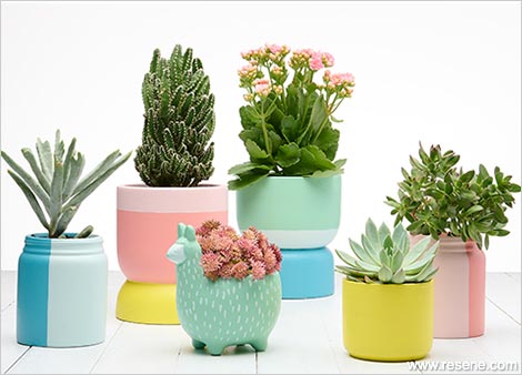 Paint pretty pots for mothers day presents